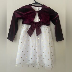 Purple Rose Toddler Dress Size 4T